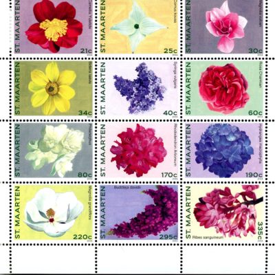 St. Martin SC#006 (2011) Flowers Block of 12 MNH