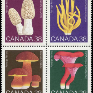Canada Stamp #1248a - Mushrooms (1989)