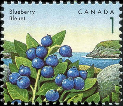 Canada Stamp #1349 - Blueberry (1992) 1¢