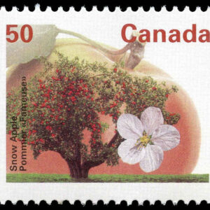 Canada Stamp #1365 - Snow Apple (1994) 50¢