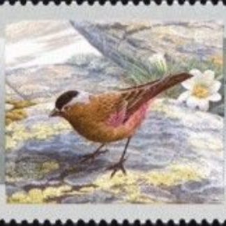 Canada Stamp #1713 - Gray-crowned Rosy-Finch (1998) 45¢