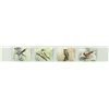 Canada Stamp #1713a - Birds of Canada - 3 (1998)