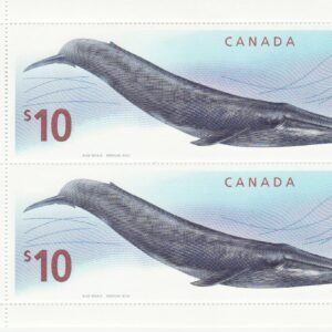 Canada Stamp PB#2405 - Blue Whale (2010) (PANE OF 2)