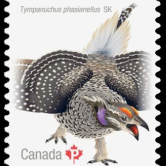 Canada Stamp #2930i - Sharp-tailed Grouse (2016) P (85¢) Die cut to shape from Quarterly Pack