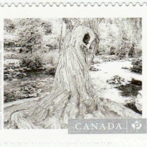 Canada Stamp #3014I - Canadian Photography - 5 (2017)P