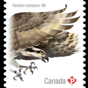 CANADA STAMP # 3018I - BIRDS OF CANADA #2 - 2017 (P)