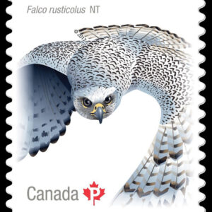 CANADA STAMP # 3019I - BIRDS OF CANADA #2 - 2017 (P)