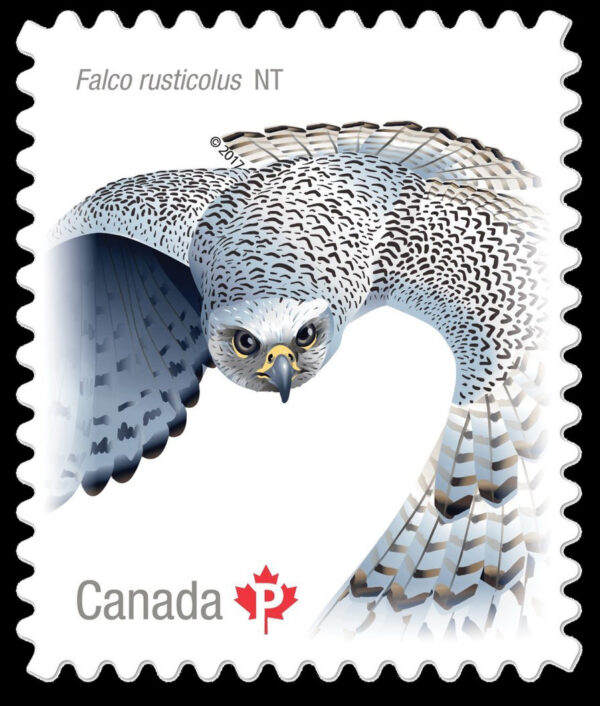 CANADA STAMP # 3019I - BIRDS OF CANADA #2 - 2017 (P)