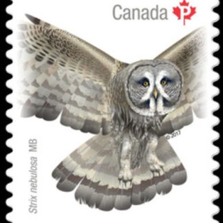 CANADA STAMP # 3021I - BIRDS OF CANADA #2 - 2017 (P)