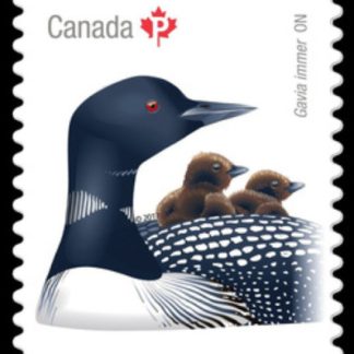 CANADA STAMP # 3022I - BIRDS OF CANADA #2 - 2017 (P)