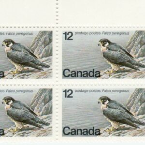 Canada Stamp PB#752 - Peregrine Falcon (1978) 12¢
