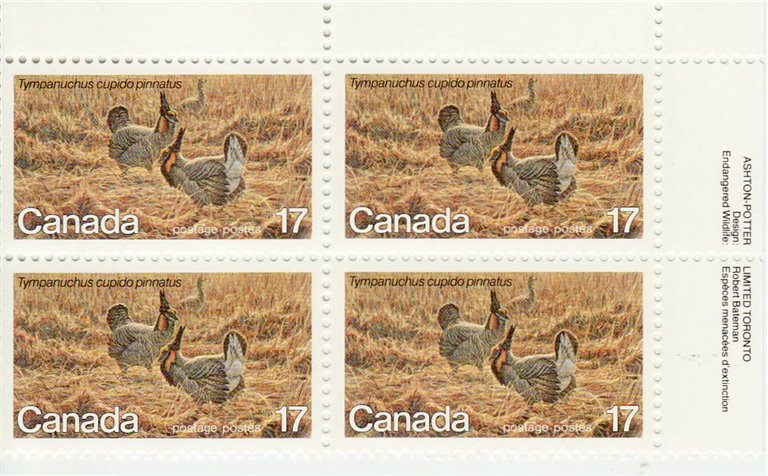 Canada Stamp #854 - Greater Prairie Chicken (1980) 17¢ - Image 2