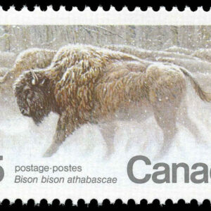 Canada Stamp #884 - Wood Bison (1981) 35¢