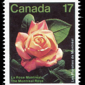 Canada Stamp #896 - Montreal Rose (1981) 17¢