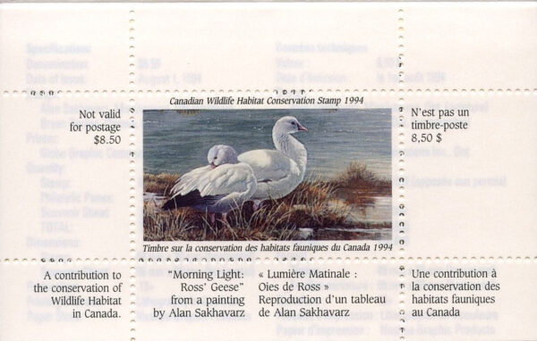 Canadian Wildlife Habitat Conservation Stamp #FWH10 - Ross Geese (1994) $8.50 - Image 3