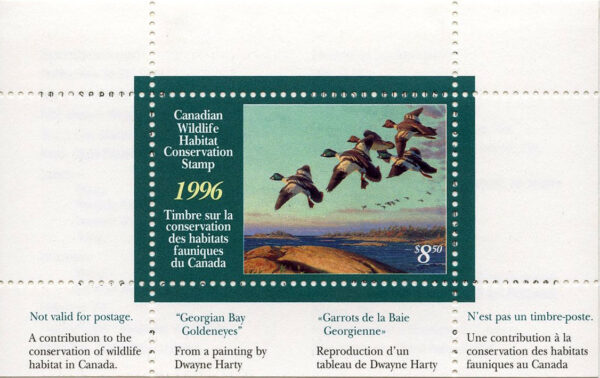 Canadian Wildlife Habitat Conservation Stamp #FWH12 - Goldeneyes (1996) $8.50 - Image 3