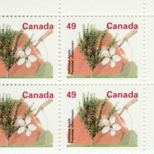 Canada Stamp PB#1364 - Delicious Apple (1994) 49¢