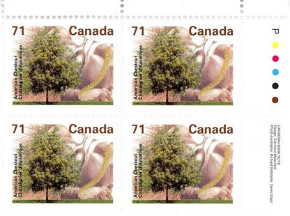 Canada Stamp #1370 - American Chestnut (1995) 71¢ - Image 2