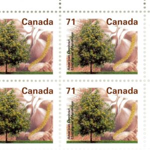 Canada Stamp #1370i - American Chestnut (1995) 71¢
