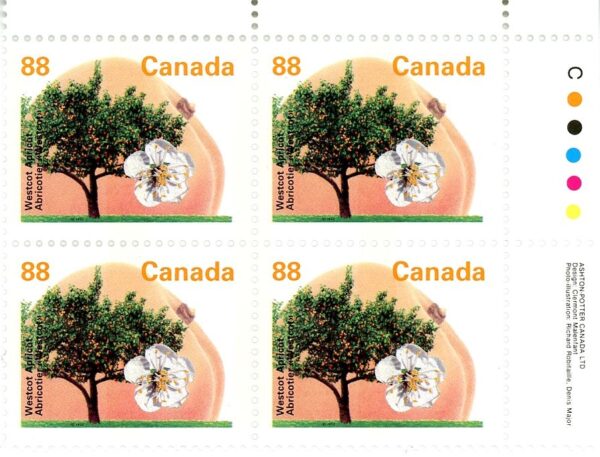 Canada Stamp #1373ii - Westcot Apricot (1994) 88¢ - Image 2