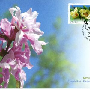 Canada FDC#2624-2625 - Magnolias (2013) 2 x P (63¢)