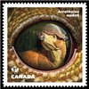 CANADA STAMP#2927i (2016) - Acrotholus Audeti Dinosaur