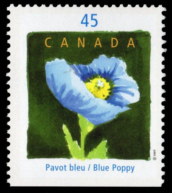 Canada Stamp #1638i - Blue Poppy, by Claude A. Simard (1997) 45¢ - Image 2