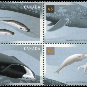 Canada Stamp #1871a - Whales (2000) 4 x 46¢