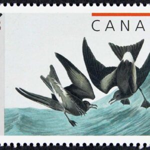 Canada Stamp #1979 - Leach's storm-petrel (2003) 48¢