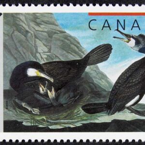 Canada Stamp #1981 - Great cormorant (2003) 48¢