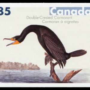 Canada Stamp #2099 - Double-Crested Cormorant (2005) 85¢