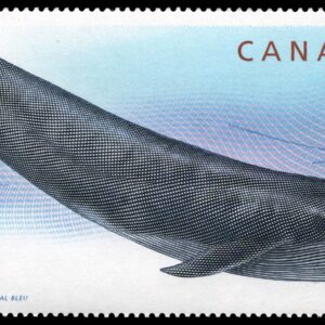Canada Stamp #2405 - Blue Whale (2010)