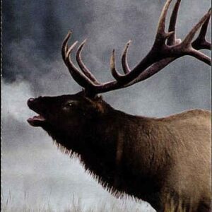 Canada Stamp Booklet - #BK356 - Jasper National Park (2007) 10 x 52¢