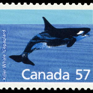 Canada Stamp #1173 - Killer Whale (1988) 57¢