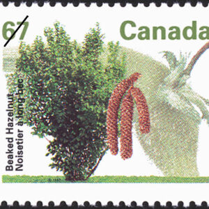Canada Stamp #1368 - Beaked Hazelnut (1992) 67¢