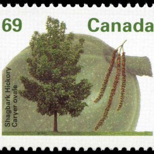 Canada Stamp #1369 - Shagbark Hickory (1994) 69¢