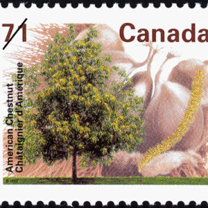 Canada Stamp #1370 - American Chestnut (1995) 71¢
