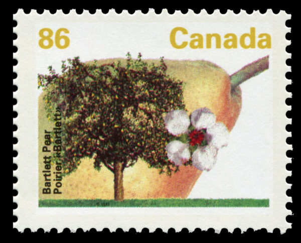 Canada Stamp #1372i - Bartlett Pear (1992) 86¢ - Image 2