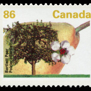 Canada Stamp #1372i - Bartlett Pear (1992) 86¢