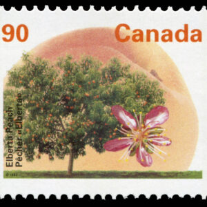 Canada Stamp #1374 - Elberta Peach (1995) 90¢