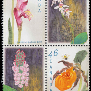 Canada Stamp #1790iii - Canadian Orchids (1999) 4 x 46¢