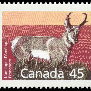 Canada Stamp #1172 - Pronghorn (1990) 45¢