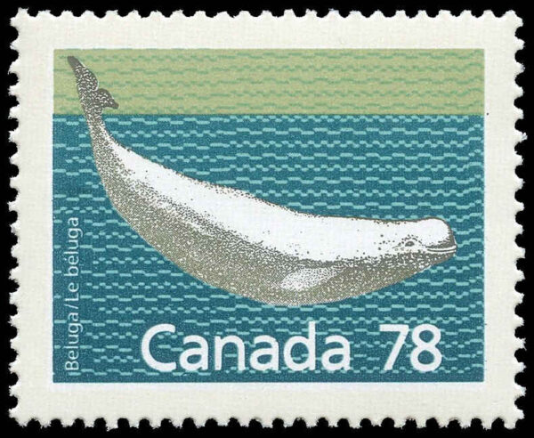 Canada Stamp #1179 - Beluga Whale (1990) 78¢ - Image 2