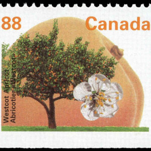Canada Stamp #1373as - Westcot Apricot (1994) 88¢