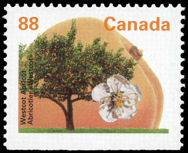 Canada Stamp #1373as - Westcot Apricot (1994) 88¢