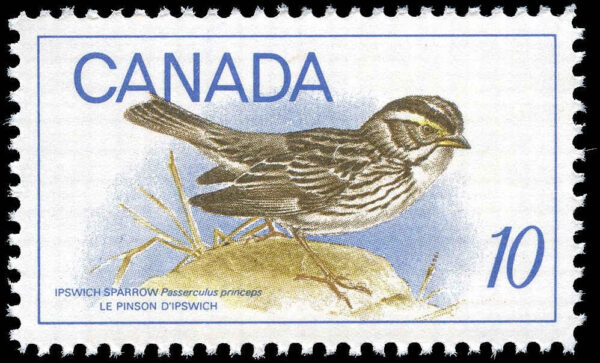 Canada Stamp #497 - Ipswich Sparrow (1969) 10¢