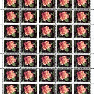 Canada SHEET#896 - Montreal Rose (1981) 17¢