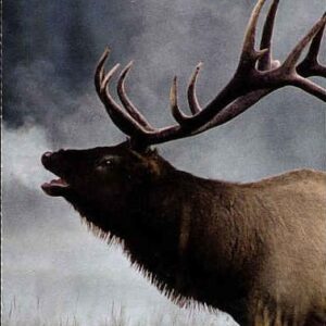 Canada Stamp Booklet - #BK356 - Jasper National Park (2007) 10 x 52¢ (2224b) (unfolded)