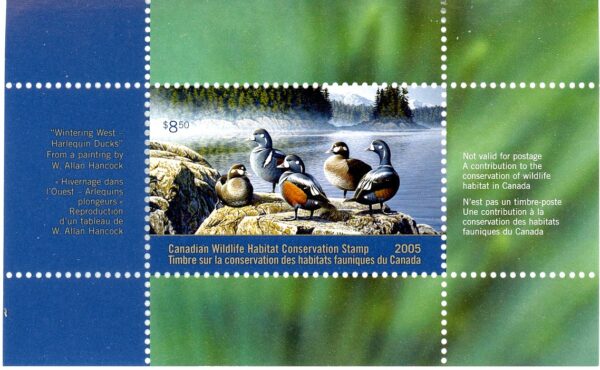 Canadian Wildlife Habitat Conservation Stamp #FWH21 - Harlequin Ducks (2005) $8.50 - Image 2