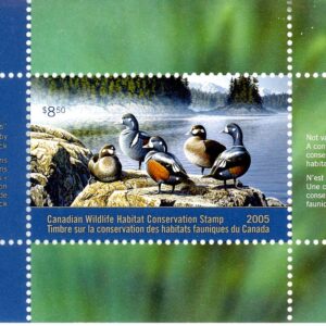 Canadian Wildlife Habitat Conservation Stamp #FWH21 - Harlequin Ducks (2005) $8.50